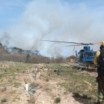 ÚLTIMA HORA: Controlado el incendio forestal declarado este jueves en Navaconcejo