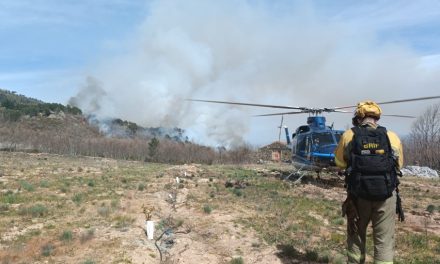 Controlado el incendio forestal declarado este jueves en Navaconcejo