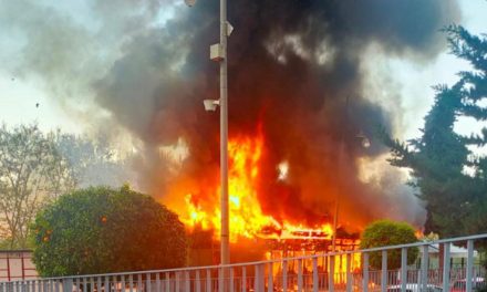 Un aparatoso incendio destruye el bar de la parada del bus urbano junto a las consejerías de la Junta en Mérida