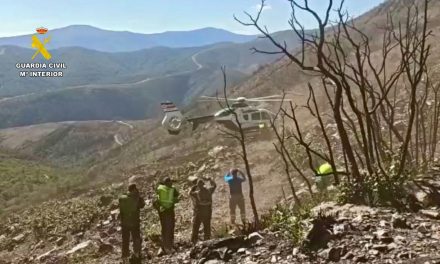 VÍDEO: La Guardia Civil rescata a un trabajador forestal que sufrió un corte con una motosierra en un paraje de Ladrillar
