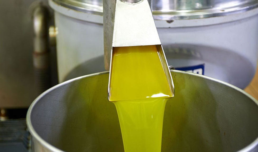 ÚLTIMA HORA: Sanidad confirma la mezcla de aceite lampante con refinados en las garrafas inmovilizadas