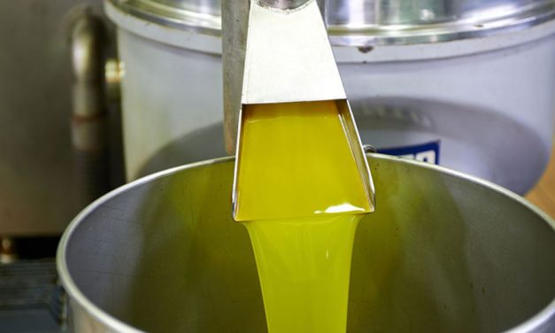 El aceite de oliva a la venta en Extremadura sin control sanitario se envasó en garrafas de 5 litros