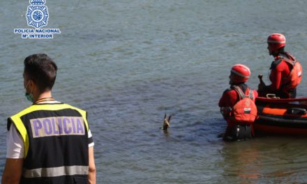 Salvan la vida a una anciana que cayó desde el Puente Romano al río Guadiana de Mérida