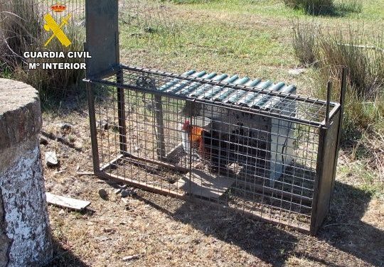 La Guardia Civil detiene a un hombre por usar una jaula con un gallo dentro para cazar ilegalmente