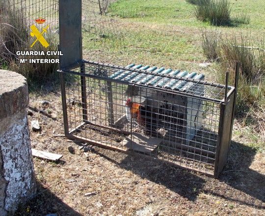 La Guardia Civil detiene a un hombre por usar una jaula con un gallo dentro para cazar ilegalmente