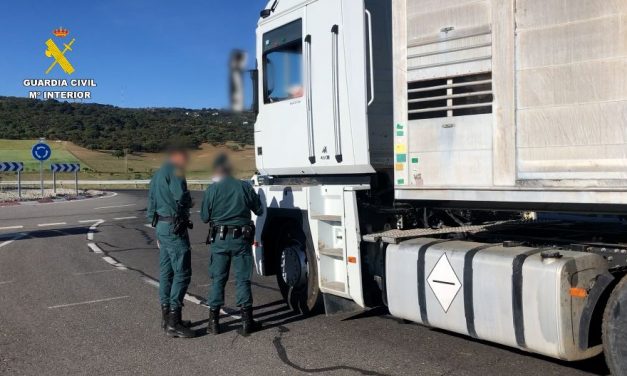 Cinco detenidos y 26 investigados por un delito de falsedad documental en la desinfección de vehículos de transporte animal