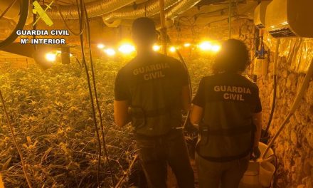 Desmantelada una plantación de marihuana en Torre de Don Miguel