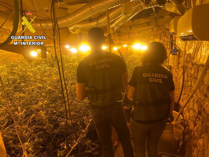 Desmantelada una plantación de marihuana en Torre de Don Miguel