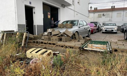 GALERÍA: Estos son algunos de los daños provocados por la tormenta en Torrejoncillo