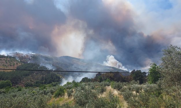 Más de 400 efectivos luchan contra un incendio descontrolado que avanza por Hurdes y Gata
