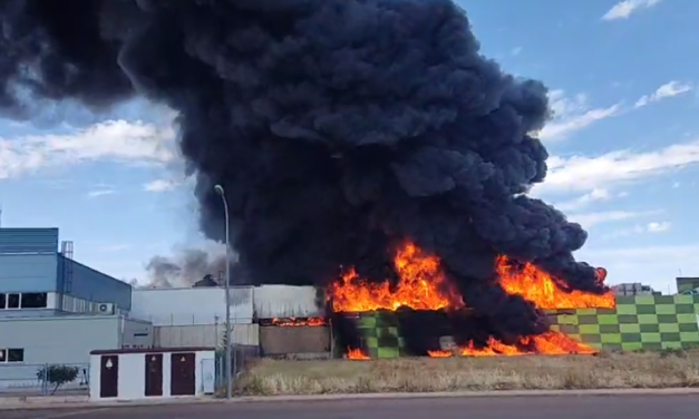 ÚLTIMA HORA: Aparatoso incendio en una industria del polígono de Almendralejo