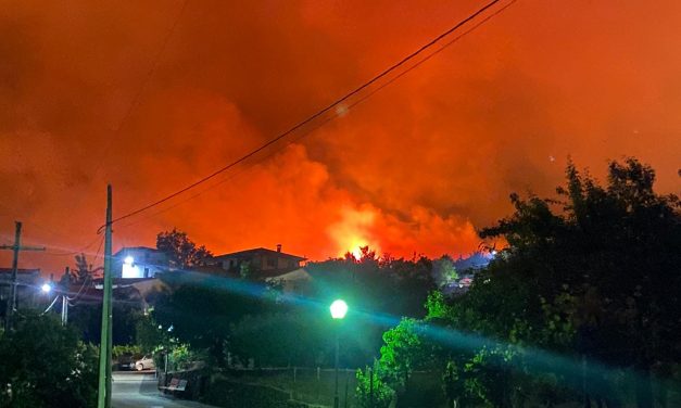 La Junta contrata por 3,6 millones euros los trabajos para reforestar las áreas quemadas de Hurdes y Gata