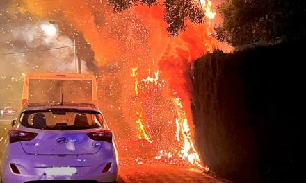 DESTACADO: Investigan un nuevo incendio que calcina dos vehículos en Plasencia