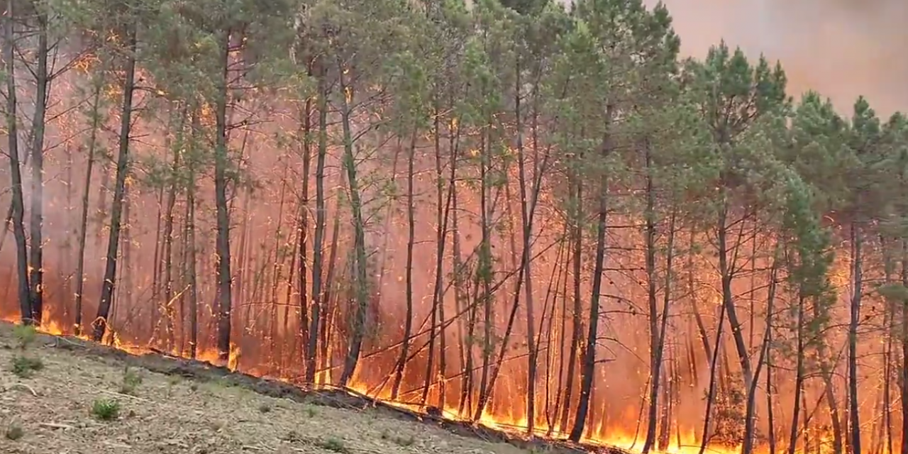 El Infoex calcula que el incendio de Hurdes y Sierra de Gata afecta ya a más 8.500 hectáreas