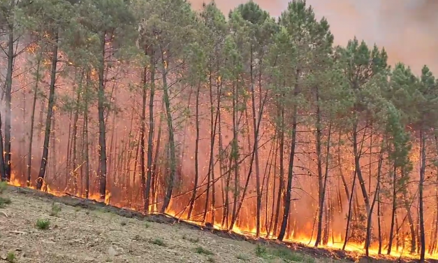 El Infoex calcula que el incendio de Hurdes y Sierra de Gata afecta ya a más 8.500 hectáreas