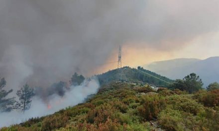 Extremadura dispondrá de un millar de efectivos para luchar contra los incendios forestales