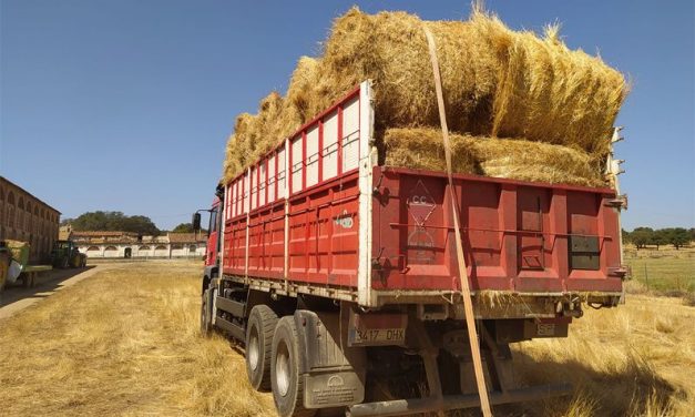Diputación repartirá pacas de heno entre los ganaderos de Las Hurdes y Sierra de Gata