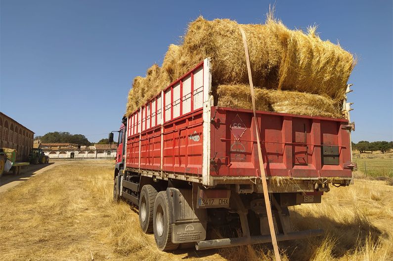Diputación repartirá pacas de heno entre los ganaderos de Las Hurdes y Sierra de Gata
