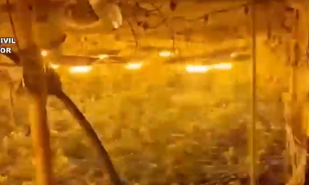 Este es el vídeo de la plantación de marihuana desmantelada por la Guardia Civil en Torre de Don Miguel