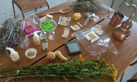 Un taller mostrará en Moraleja los usos de las plantas silvestres de Sierra de Gata
