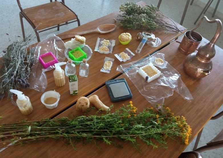 Un taller mostrará en Moraleja los usos de las plantas silvestres de Sierra de Gata