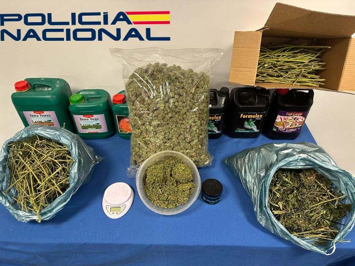 Operación Ángelus: Dos detenidos con 193 plantas de marihuana y 5 kilos listos para vender