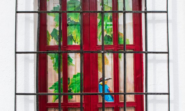 Más de cincuenta puertas y ventanas lucen decoradas con pinturas en Moraleja