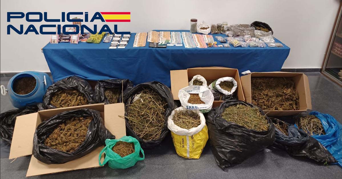 Cuatro plantaciones de marihuana desmanteladas, drogas incautadas y un detenido en Mérida