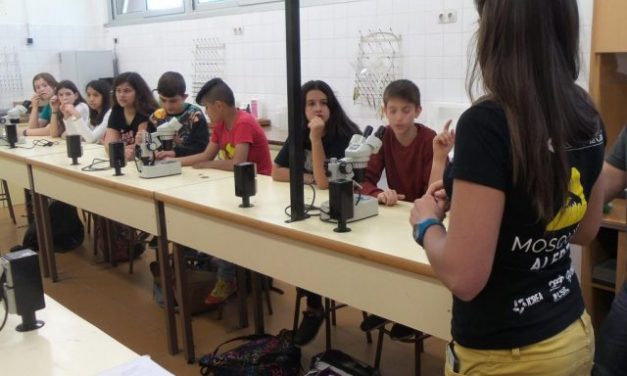 Estudiantes de Coria practican un método para alertar sobre el mosquito tigre y el de la fiebre amarilla