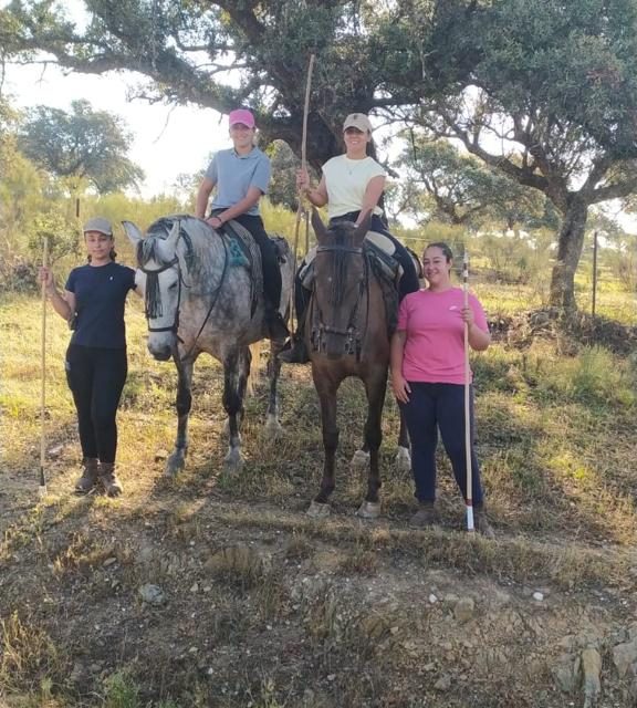 Ellas son las 4 jóvenes del centro rural de Moraleja que hacen la trashumancia con vacas avileñas