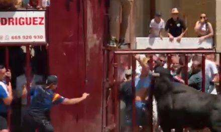 VIDEO: Así corneó e hirió de gravedad el toro de la Junta de Defensa a un aficionado
