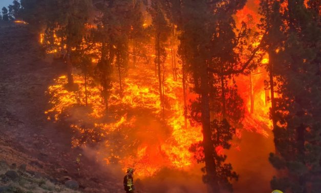 El Infoex desactiva el nivel 1 y da por estabilizado el incendio forestal que afecta a Valverde de la Vera