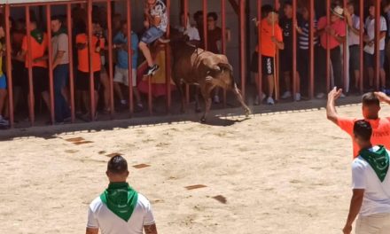 Uno de los heridos por asta de toro en Moraleja sigue ingresado con pronóstico reservado