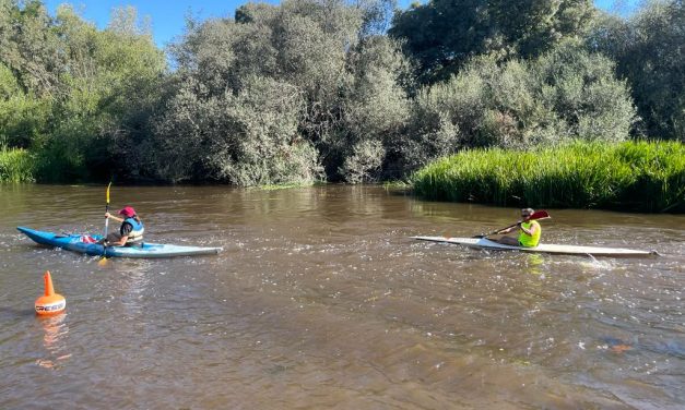 El río Alagón se llena de vida en un descenso popular en canoa que cumple 14 años