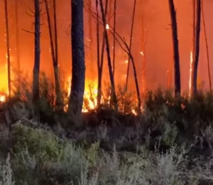 Declarado un incendio en Villanueva de la Vera con varios focos activos