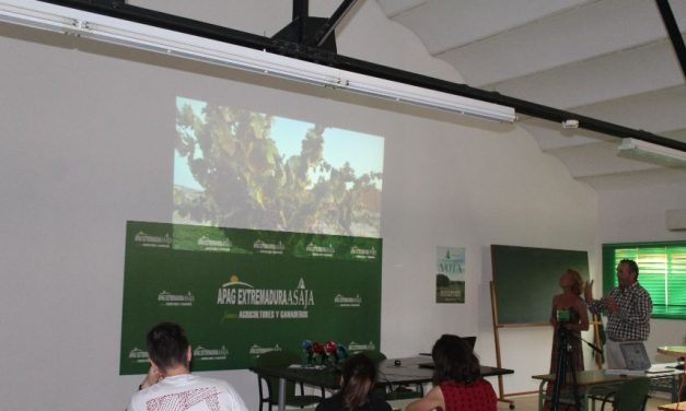 Apag Extremadura pide ayudas para la viña y el olivar, cultivos excluidos de las ayudas por la sequía
