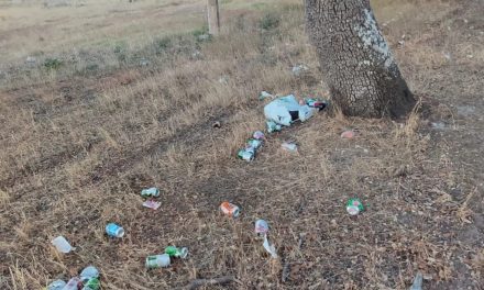 Talayuela sancionará a las personas que tiraron botellas, vasos y latas en la dehesa municipal