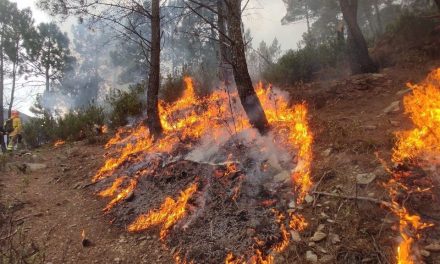 Efectivos del Infoex trabajan en un incendio forestal declarado en Villasbuenas