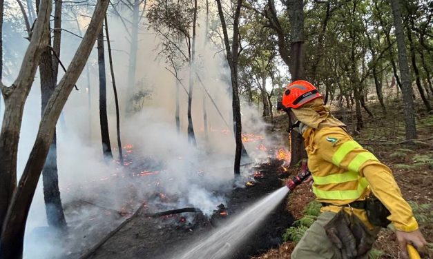 Medios aéreos y terrestres tratan de sofocar un incendio forestal en La Vera