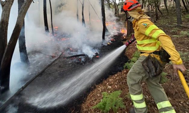 El incendio forestal de Valencia de Alcántara continúa activo y en nivel 1 de peligrosidad