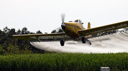 Arranca en Extremadura la fumigación aérea con fitosanitarios de 13.000 hectáreas de arroz