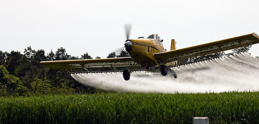 Arranca en Extremadura la fumigación aérea con fitosanitarios de 13.000 hectáreas de arroz