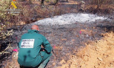 VIDEO: Así ha sido la «Operación Frizer» que finaliza con un detenido por varios incendios en Sierra de Gata