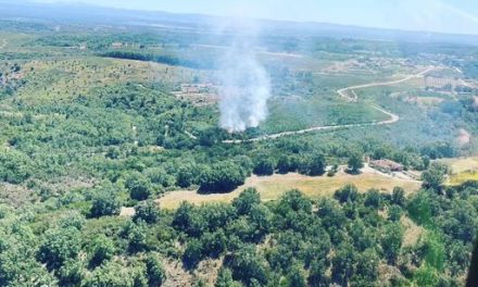 ÚLTIMA HORA: Efectivos del Infoex tratan de apagar un incendio forestal declarado en La Vera