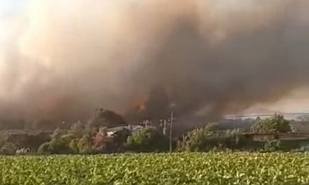 El Infoex declara el nivel 1 de peligrosidad en el incendio de Jaraíz de la Vera
