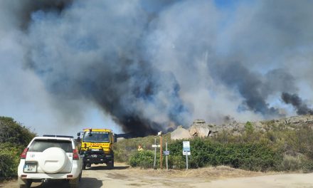 Estabilizado el incendio forestal de Valencia de Alcántara que afecta a más de 400 hectáreas