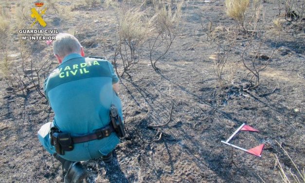 El uso de una radial provoca un incendio forestal que afectó a 15 hectáreas de encinas y monte bajo
