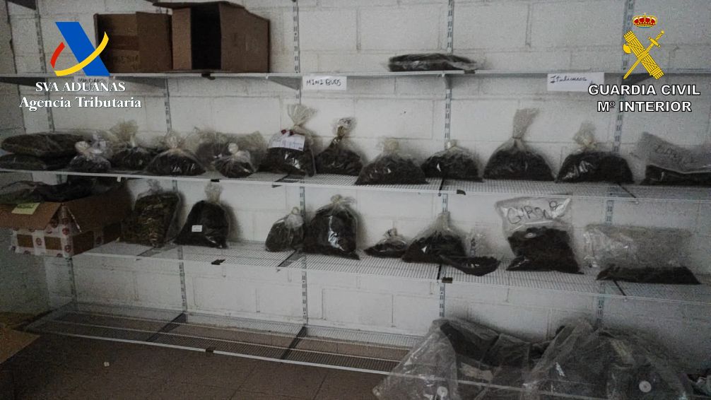 Desmantelado en Extremadura un centro de producción y comercialización de cannabis