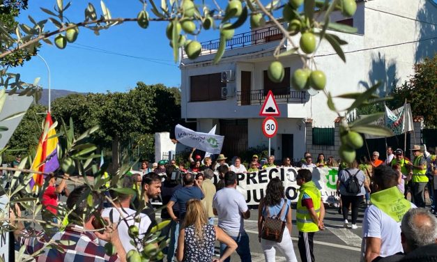 Más de 1.000 personas reclaman en Villanueva de la Sierra mejores precios para el olivar tradicional