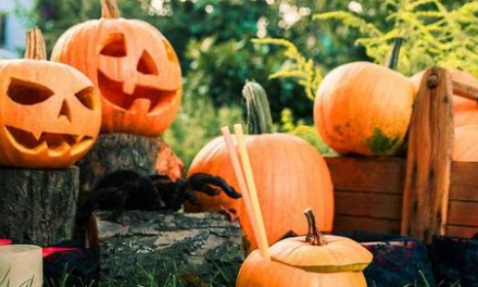 Talayuela y Santa María de las Lomas organizan un Halloween terrorífico